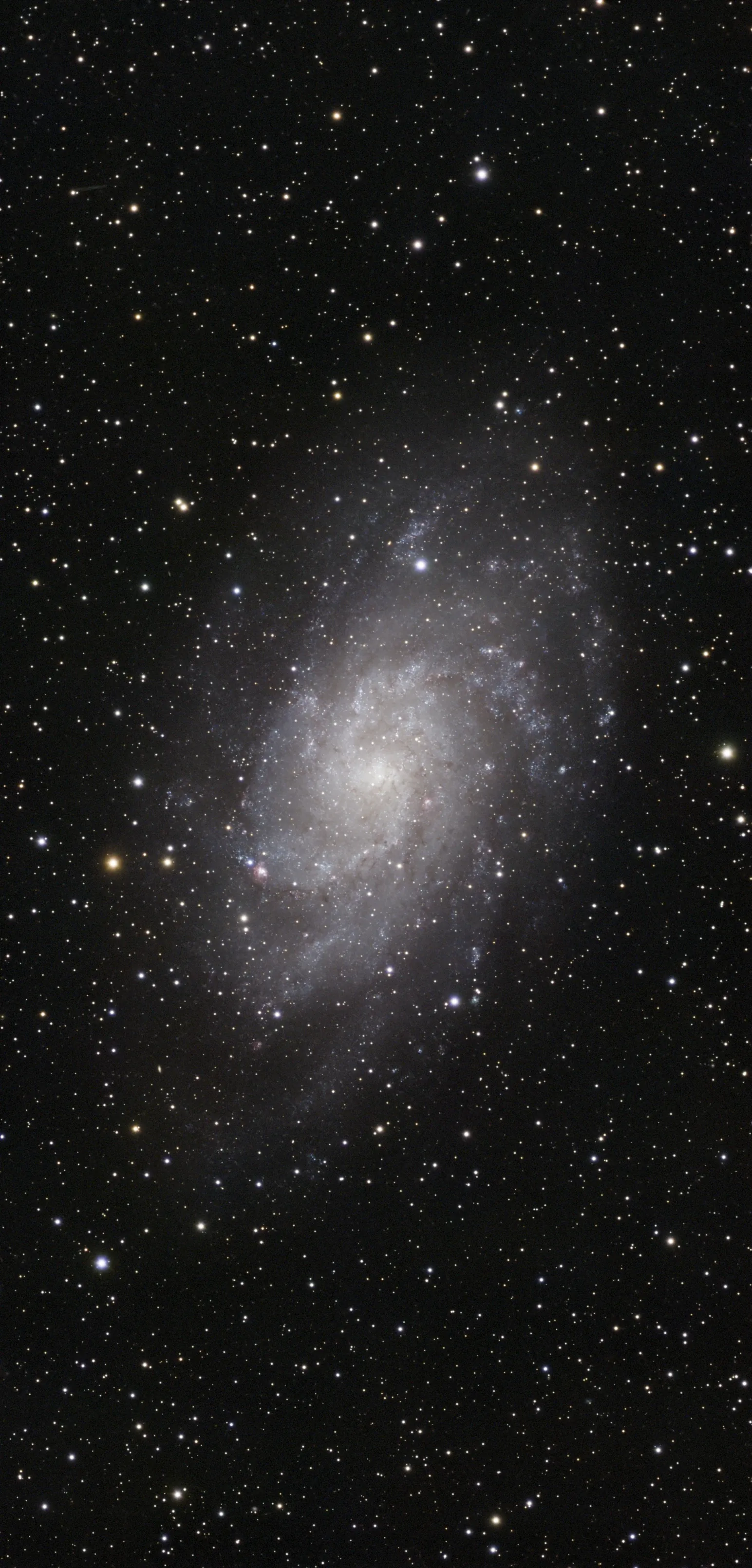 M33 — Triangulum Galaxy
